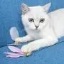 ocijf179 Cat Teaser Pet Cat Kitten Teaser Bell Feather Playing Steel Wire Stick Wand Interactive Toy - Grey