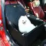 Pettom Pet Bucket Seat Cover Booster Seat 2 in 1 Deluxe Dog& Cat Front Seat Cover for Cars Non- Slip Backing Waterproof (Black) Pettom Pet Bucket Seat Cover Booster Seat 2 in 1 Deluxe Dog& Cat Front Seat Cover for Cars Non- Slip Backing Waterproof (Black)