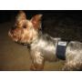 Tinkle Belts