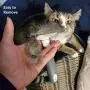 WePet Cat Dog Shedding Tool, Pet Deshedding Brush, Professional Grooming for Short Medium Long Hair Cats and Dogs, Effectively Reduce Shedding by Up to 95% WePet Cat Dog Shedding Tool, Pet Deshedding Brush, Professional Grooming for Short Medium Long Hair Cats and Dogs, Effectively Reduce Shedding by Up to 95%