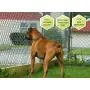 Downtown Pet Supply Rechargeable Citronella Anti-Bark No Shock Safe & Humane No Barking Water Resistant Dog Training Collar for Small, Medium, and Large Pets (Collar Only) Downtown Pet Supply Rechargeable Citronella Anti-Bark No Shock Safe & Humane No Barking Water Resistant Dog Training Collar for Small, Medium, and Large Pets (Collar Only)