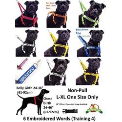 Dexil Limited DO NOT PET Red Color Coded Neoprene Padded Non-Pull Harness Prevents Accidents by Warning Others of Your Dog in Advance