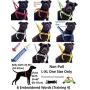 Dexil Limited DO NOT PET Red Color Coded Neoprene Padded Non-Pull Harness Prevents Accidents by Warning Others of Your Dog in Advance
