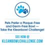 Kinn Kleanbowl 100 Count Nourish-Pet Refills, 16 Ounces, Food and Water Bowls for Dogs and Cats