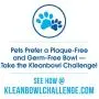 Kinn Kleanbowl 100 Count Nourish-Pet Refills, 16 Ounces, Food and Water Bowls for Dogs and Cats Kinn Kleanbowl 100 Count Nourish-Pet Refills, 16 Ounces, Food and Water Bowls for Dogs and Cats
