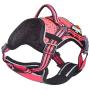 DOGHELIOS Journey Wander Chest Compressive Sporty Adjustable Travel Pet Dog Harness and Leash Combination, Small, Pink