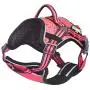 DOGHELIOS Journey Wander Chest Compressive Sporty Adjustable Travel Pet Dog Harness and Leash Combination, Small, Pink DOGHELIOS Journey Wander Chest Compressive Sporty Adjustable Travel Pet Dog Harness and Leash Combination, Small, Pink