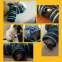 ZZK Collapsible Pet Cat Tunnel Y-Shaped Pet Puppy Kitten Play Funny Cat Toy Exercise Tunnel Cave Interactive Cat Toy Cat Drill Tent Nest