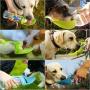 D&I Portable Dog Water Bottle for Walking - Travel Bottles for Dogs with Folding Silicone Leaf Shaped Bowl 20oz