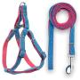 Bagoo Pets - Dog Harness & Dog Leash Collar for Small, Medium and Large Dogs - Adjustable & Durable Denim Dog Accessories - No Choke No Pull Gentle Dog Vest and Dog Collar - Perfect for Training Pet