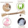 N/H Catnip Toys, Chew Sticks Cat Teeth Cleaning Chew Toy for, silvervine Sticks cat Cleaning Teeth, Make Your cat Feel Calm and Relaxed, cat chew Toy,Suitable for All Cats
