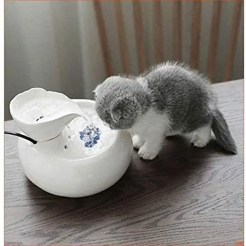 KUANDARM Fountains and Water Features,Drinking Fountains for Dogs Pet Automatic Activated Carbon Circulation Environmental Water Machine Capacity 1.5L, White KUANDARM Fountains and Water Features,Drinking Fountains for Dogs Pet Automatic Activated Carbon Circulation Environmental Water Machine Capacity 1.5L, White