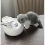 KUANDARM Fountains and Water Features,Drinking Fountains for Dogs Pet Automatic Activated Carbon Circulation Environmental Water Machine Capacity 1.5L, White KUANDARM Fountains and Water Features,Drinking Fountains for Dogs Pet Automatic Activated Carbon Circulation Environmental Water Machine Capacity 1.5L, White