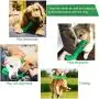 Dog Chew Toothbrush Toy, Dog Chew Toys for Aggressive Chewers, Chew Toothbrush Stick for Dental Care, Dog Teeth Cleaning Toy Natural Rubber Dental Care Chew Proof Dog Toy for Large Dog Pets