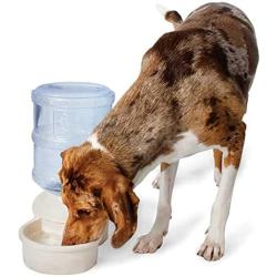 Aspen Pet Lebistro Waterer