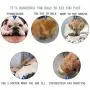 Healthy Slow Feeder Dog Cat Bowl - Slow Eating Dog Bowl - Interactive Feeder - Slow Down Feed Dog Cat Feeding Bowl - Pet Bloat Stop Dog Bowl Healthy Slow Feeder Dog Cat Bowl - Slow Eating Dog Bowl - Interactive Feeder - Slow Down Feed Dog Cat Feeding Bowl - Pet Bloat Stop Dog Bowl