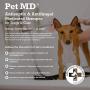 Pet MD Medicated Wipes and Shampoo Bundle