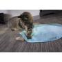 SmartyKat Hot Pursuit Cat Toy Concealed Motion Toy, Blue