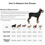 Fairwin Service Vest Dog Harness - Adjustable Nylon with Removable Reflective Patches for Service Dogs Large Medium Small Sizes