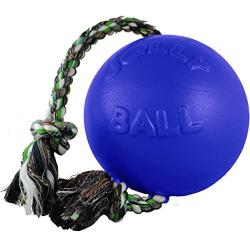 Jolly Pets Romp-N-Roll Ball