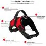 Dog Harness No Pull Pet Harness 3M Reflective Adjustable Outdoor Pet Vest for Dogs, Pet Harness for Small Medium Large Dogs With Dog Rope