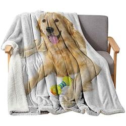 Interestlee Golden Retriever Wool Blanket 60'' x 80'', Pet Dog Laying Down with Toy Friendly Domestic Puppy Playful Companion Custom Blanket - Multicolor