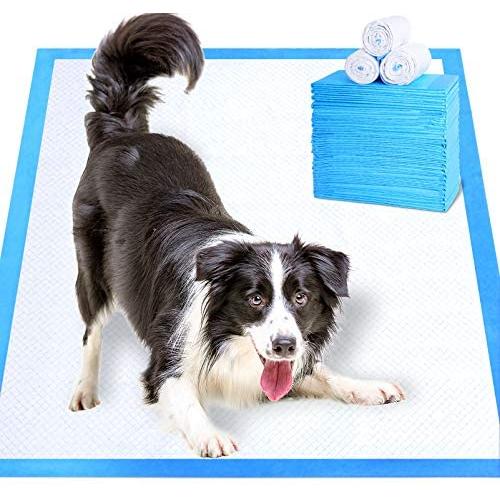 WISPET Extra-Large Dog Pee Pads 28''x34''-40 Count, XL Puppy Training Pads - Super Absorbent & Leak-Free Potty Pads for Dogs and Pet Pads