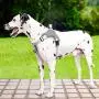 DUDUPE No Pull Dog Harness Reflective Adjustable Vest, Soft Mesh Padded Pet Vest for Walking Training Running, Suitable for Small Medium Large Dog [Easy to Put on & Take Off]