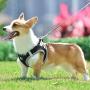 PENIVO Small Dog Harness Vest Puppy Breathable Mesh Pet Dog Harness and Leash Set Reflective for Small Medium Dogs Chest Strap Walking Lead