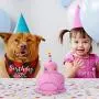 2 Pieces Birthday Girl Dog Bandana Dog Birthday Scarf and Birthday Cake Squeaky Dog Toy Birthday Party Supplies for Big Medium Large Dogs 2 Pieces Birthday Girl Dog Bandana Dog Birthday Scarf and Birthday Cake Squeaky Dog Toy Birthday Party Supplies for Big Medium Large Dogs
