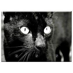 Triple Blank Wall Plate Cover - Cat Black Cat Feline Animals Animal Kitten Pet