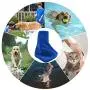 SUNLAND Dog Towel Super Absorbent Pet Bath Towel Microfiber Double Density Dog Drying Towel for Dogs and Cats 30Inch x 50Inch SUNLAND Dog Towel Super Absorbent Pet Bath Towel Microfiber Double Density Dog Drying Towel for Dogs and Cats 30Inch x 50Inch