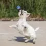 Hero Action, Large Solid Tennis Ball Dog Toy, Floating Fetch Ball