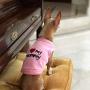 Parisian Pet Dog Cat Clothes Tee Shirts Mommys Boy, Daddys Girl, Big Brother, Big Sister, Little Brother, Little Sister, I Love Mommy, I Love Daddy
