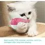 Cat Toothbrush Toy, Catnip Toys for Cats, Cat Toys with Catnip, Silicone Fish Toys Pet Molar Stick Cat Teeth Cleaning Brush, Interactive Chew Toy for Pet Cat Kitten Cat Toothbrush Toy, Catnip Toys for Cats, Cat Toys with Catnip, Silicone Fish Toys Pet Molar Stick Cat Teeth Cleaning Brush, Interactive Chew Toy for Pet Cat Kitten