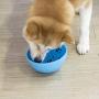 Alyster Slow Feeder Dog and Cat Bowl Preventing Choking Anxiety Relief Healthy Design Bowl for Dog Pet