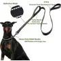 6 FT Reflective Dog Leash with 2 Handles, 60 Rolls / 900 Count Dog Poop Bags with Dispenser 6 FT Reflective Dog Leash with 2 Handles, 60 Rolls / 900 Count Dog Poop Bags with Dispenser