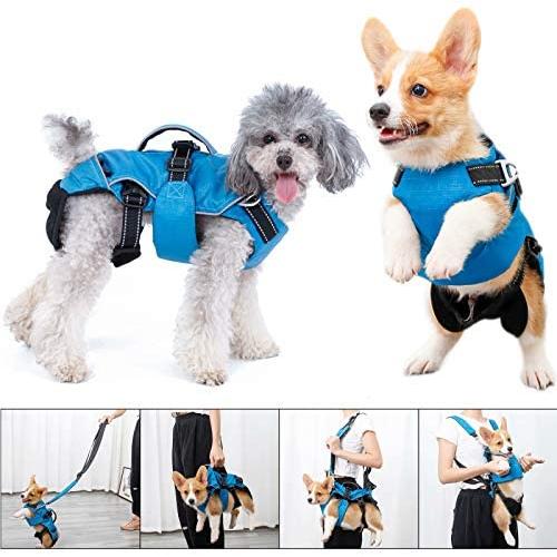 4 in 1 Multi Functional Dog Carrier Backpack , Dog Warm Vest Clothes, Dog Carrier Slings Bag , Dogs Collar Harness with Leash , Blue & M