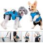 4 in 1 Multi Functional Dog Carrier Backpack , Dog Warm Vest Clothes, Dog Carrier Slings Bag , Dogs Collar Harness with Leash , Blue & M