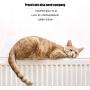 Cat Toys for Indoor Cats, Kitten Toys, Interactive Cat Toy, Toys for Cats and Dogs, Pet Toys for Kitten Indoor Playing with USB Charging Port (1 PCS)