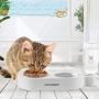 URPOWER Cat Bowls Small Dog Bowls 2 in 1 Water Food Bowl Non Slip Anti Spill Stable Design Separation Double Bowls with 17oz Automatic Water Dispenser Pet Food Water Dish for Cats Small Dogs and Pets