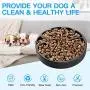 AIIYME Slow Feeder Dog Bowl Feeder Anti-Gulping Bloat Stop Maze Interactive Puzzle Non Skid Feeder, Come with Free Travel Bowl AIIYME Slow Feeder Dog Bowl Feeder Anti-Gulping Bloat Stop Maze Interactive Puzzle Non Skid Feeder, Come with Free Travel Bowl