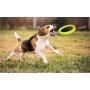 Small Dog Toys Ring Water Floating, Outdoor Fitness Flying Discs, Tug of War Interactive Training Ring for Puppy to Small Dogs, 8 inch