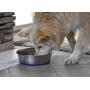 OurPets Premium DuraPet Dog Bowl