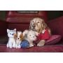 MuttNation Fueled By Miranda Lambert Rescue Mutt Dog Toy