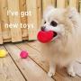 KOOLTAIL Dog Squeaky Toys Plush Balls 6 Pack - Small Dog Toys Cute Soft Interactive Chew Toy for Puppy Small Medium Dogs & Cats