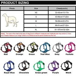 LOUXWOL Front Dog Harness No Pull Soft Padded Harness Vest with Handle and Two Leash Attachements for Large Medium Small Pet Dogs Adjustable Outdoor 3M Reflective Oxford Material