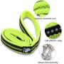 OLizee Reflective Nylon No-Pull Dog Harness and Training Leash Set Padded Durable Adjustable(S, Green Set)