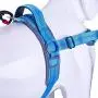 AdventureMore No Pull Choke Free Dog Halter Harness Leash Set - Dog Harness with Handle & 5 ft Double-Handle Shock Absorbing Bungee Training Leash AdventureMore No Pull Choke Free Dog Halter Harness Leash Set - Dog Harness with Handle & 5 ft Double-Handle Shock Absorbing Bungee Training Leash