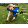 Nerf Dog Large Nylon Launching Duck with Interactive Design